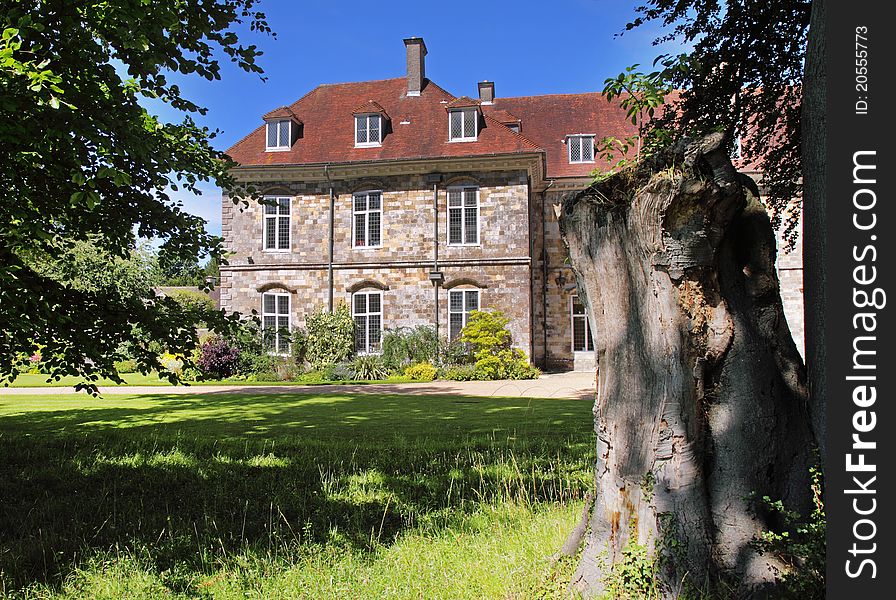 English Manor house and garden with a tree stump in the foreground