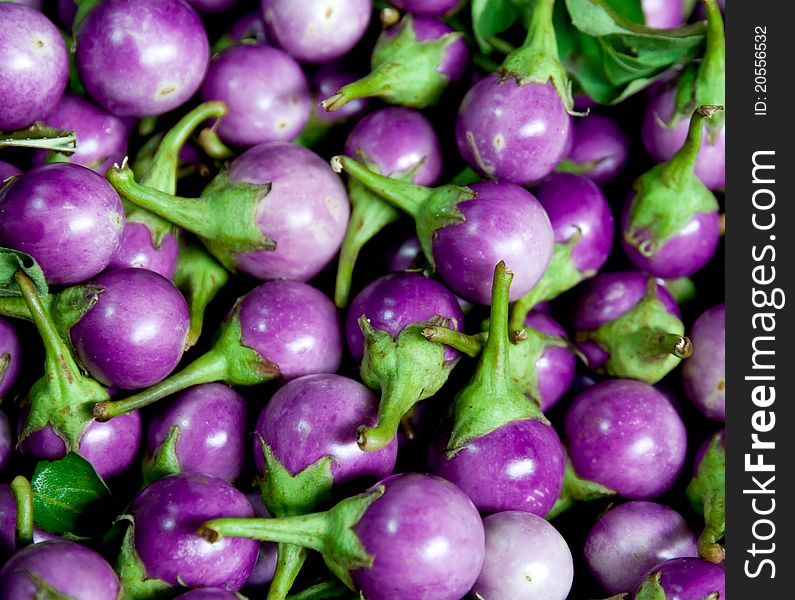 Round eggplant purple in the fresh market