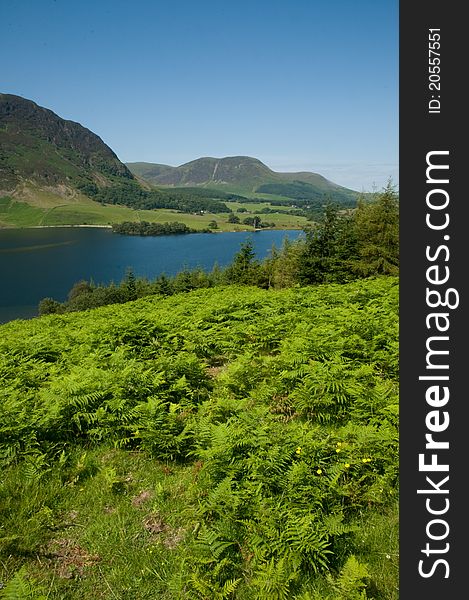 The stunning view of crammock water near buttermere in cumbria in the lake district in england. The stunning view of crammock water near buttermere in cumbria in the lake district in england