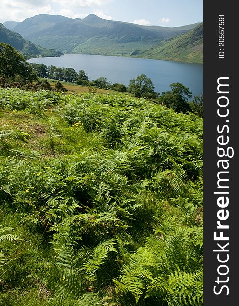 The stunning view of crammock water near buttermere in cumbria in the lake district in england. The stunning view of crammock water near buttermere in cumbria in the lake district in england