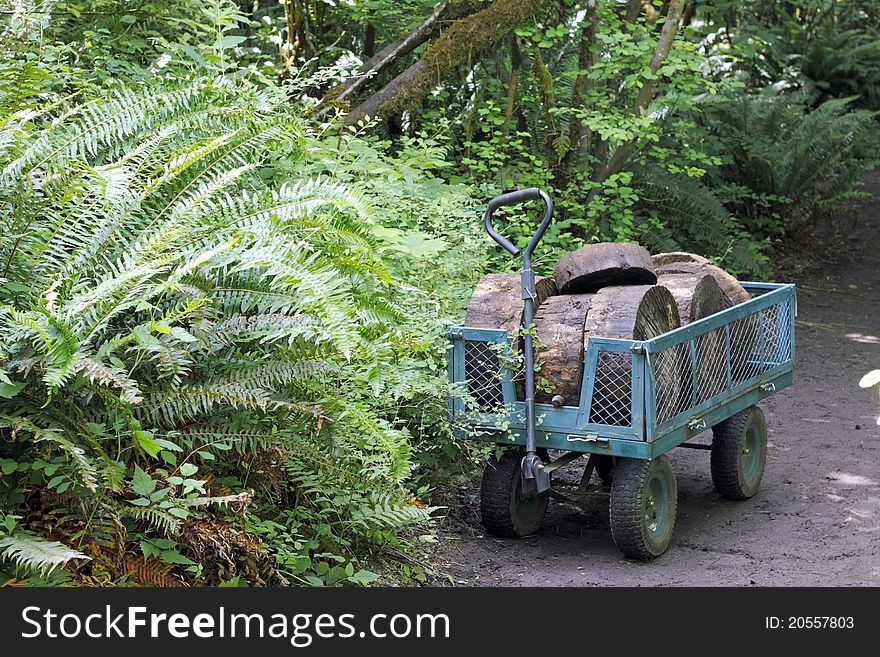 Outdoor metal cart carrying wood blocks cut from a tree trunk in a natural forest area. Outdoor metal cart carrying wood blocks cut from a tree trunk in a natural forest area.