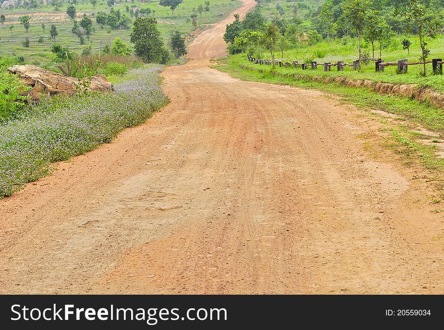 Pathway soil road in the rural. Pathway soil road in the rural