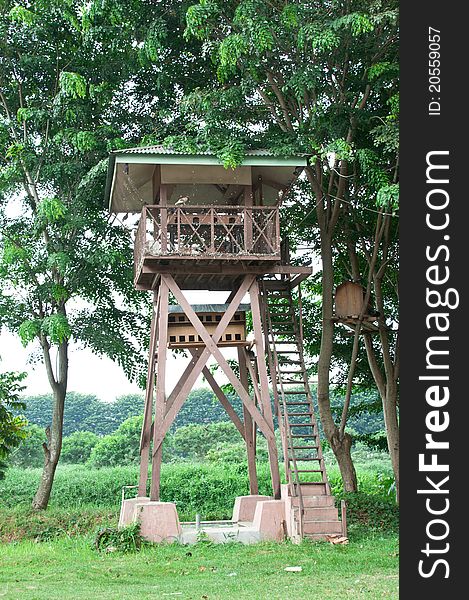 A portrait of wooden pigeon house with nature greenery background