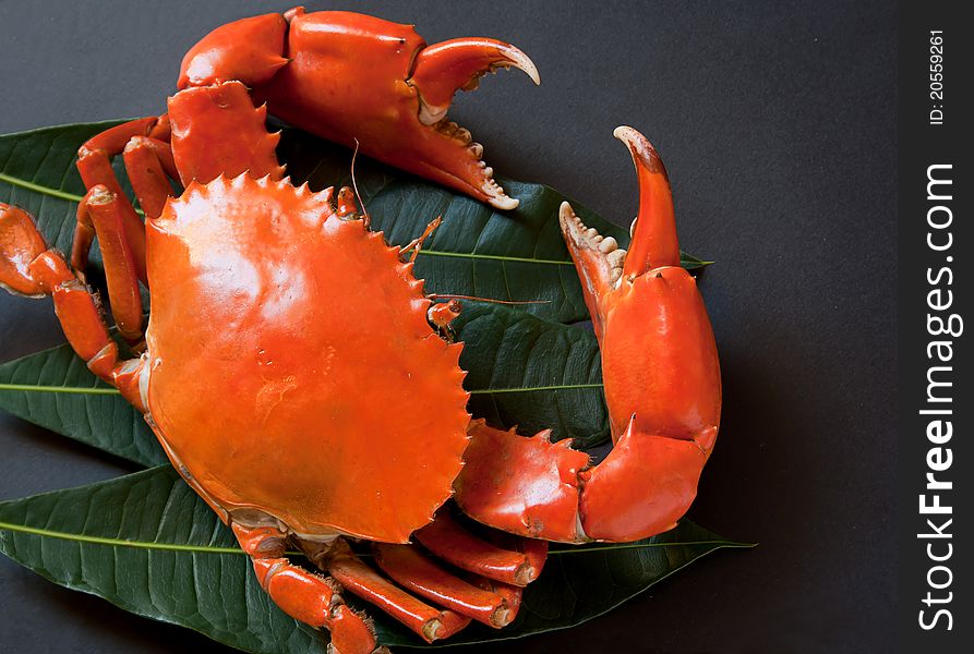 This is a red, big crabs, it fresh, delicious.