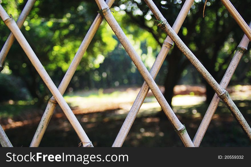 Summer park bamboo fence closeup. Summer park bamboo fence closeup