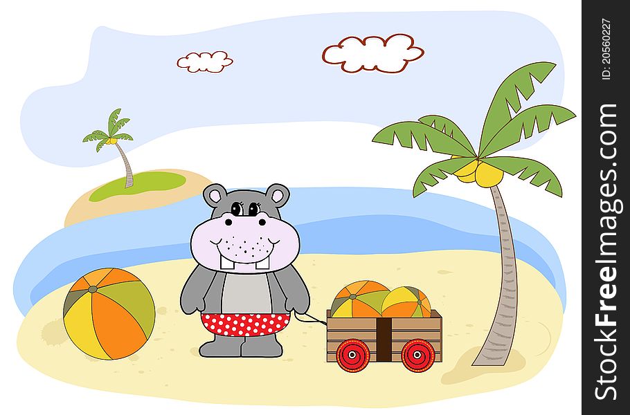 Little hippo plays on the beach