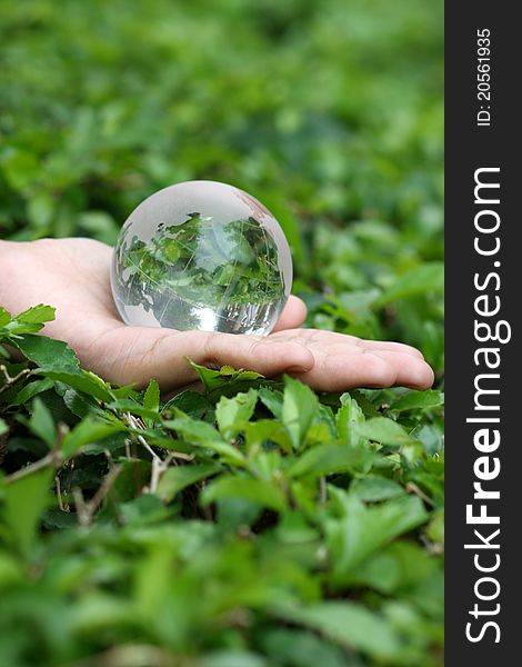 Hand with crystal globe isolated in green leaves background