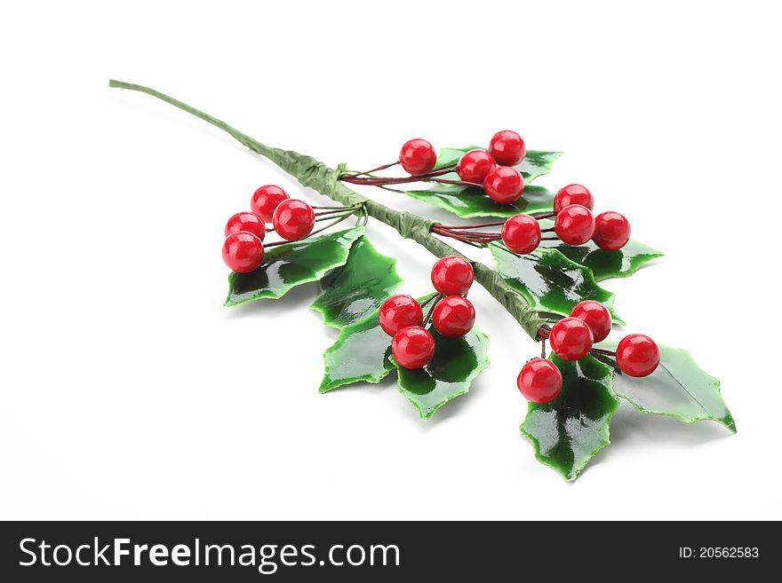 Branch Of Holly With Red Berries