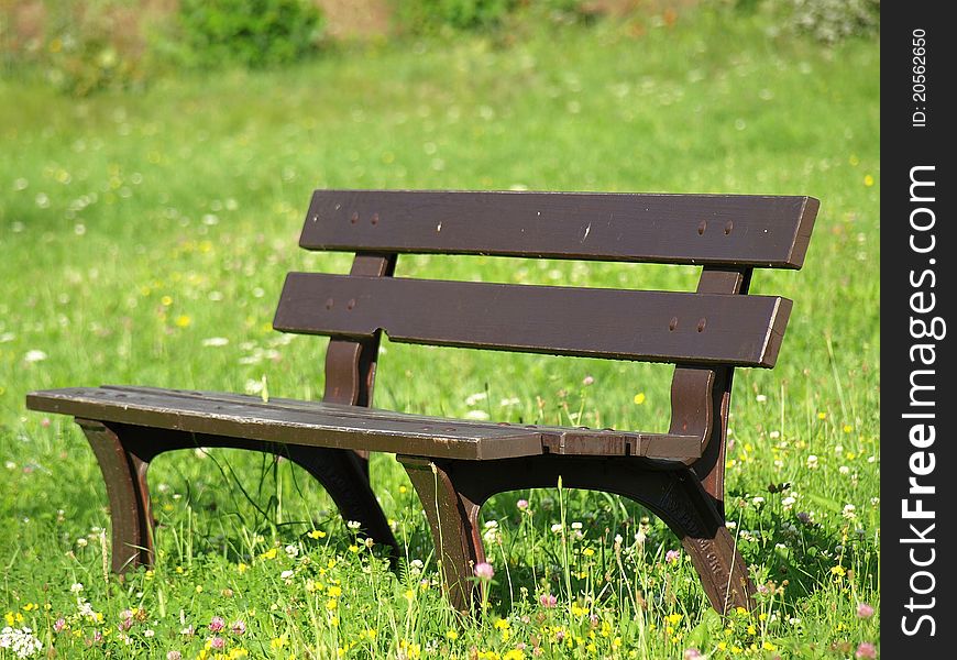 Bench on grass in the garden