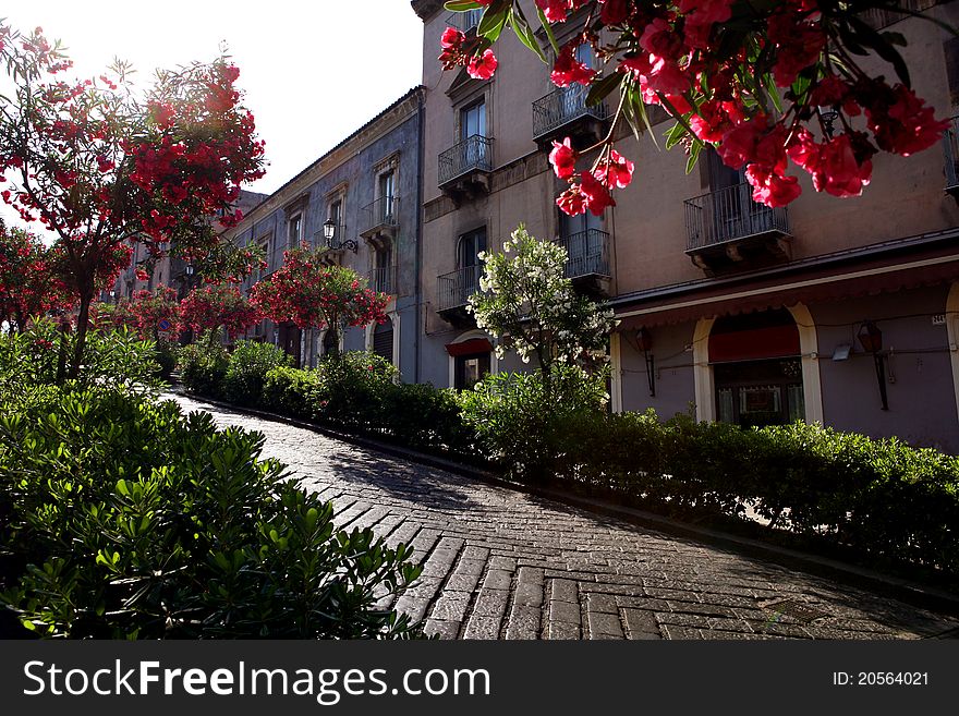 Picturesque pedestrian road in the city centre of Catania. Picturesque pedestrian road in the city centre of Catania