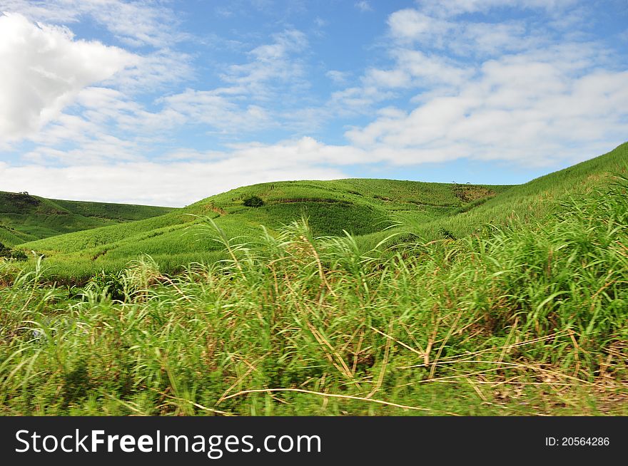 Green hill and blue sky in maceio