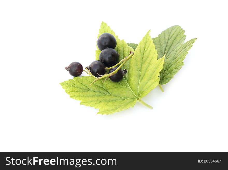 Ripe black  currant on a white background macro close-up of delicious berries isolated