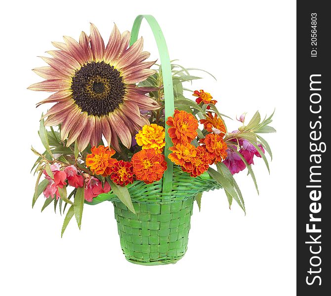 Bouquet of Flowers with a sunflower in a basket isolated on a white background