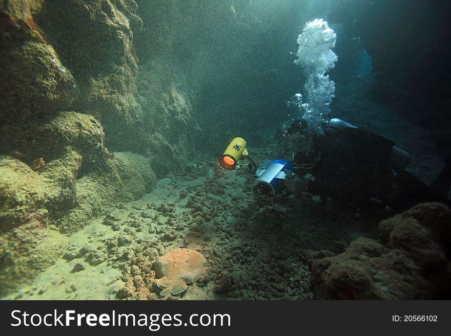 Diving in the Red Sea