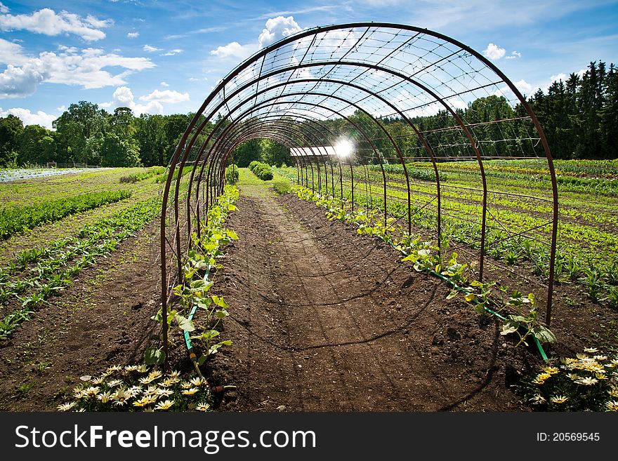 A steel construction on a field