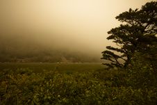 Fog Over Marsh Stock Images Fog Over Marsh Stock Images