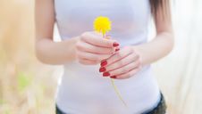 Girl On Dandelion Royalty Free Stock Photos Girl On Dandelion Royalty Free Stock Photos