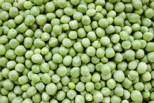 Green Peas Stock Photos Green Peas Stock Photos