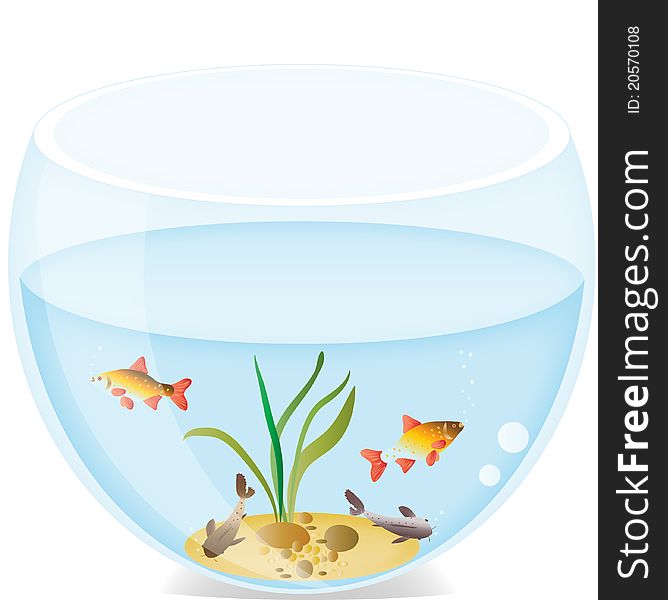 Small fishes in a round aquarium. Vector illustration
