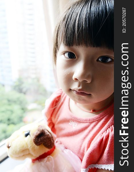 Bright picture of adorable chinese girl Holding the Toy dog near the windows. Bright picture of adorable chinese girl Holding the Toy dog near the windows
