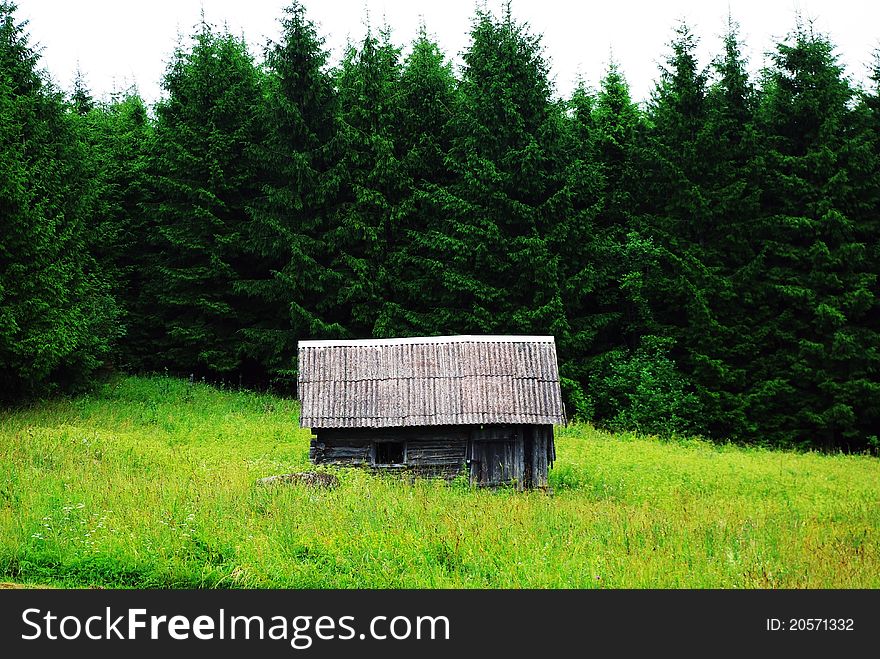 An old farmhouse near the forest