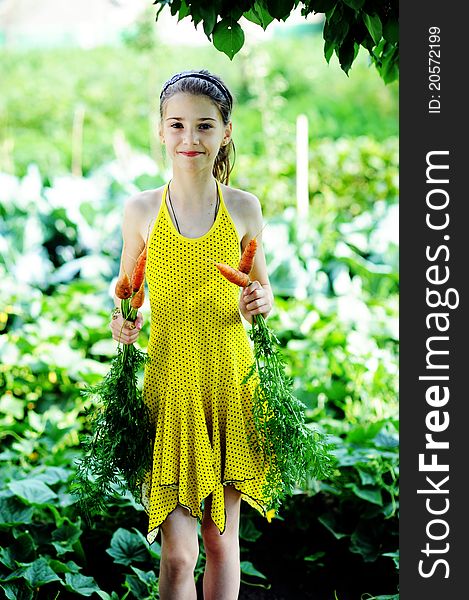An image of a little girl with fresh orange carrots. An image of a little girl with fresh orange carrots