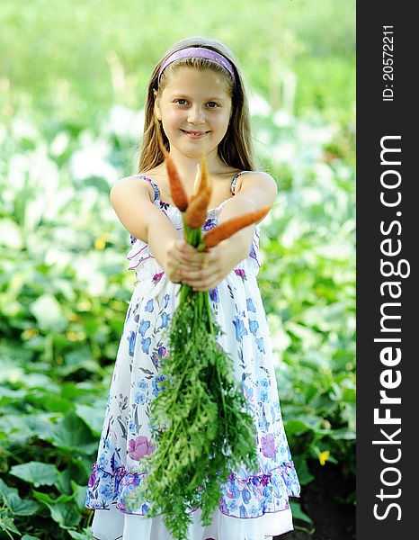 An image of a little girl with fresh orange carrots. An image of a little girl with fresh orange carrots