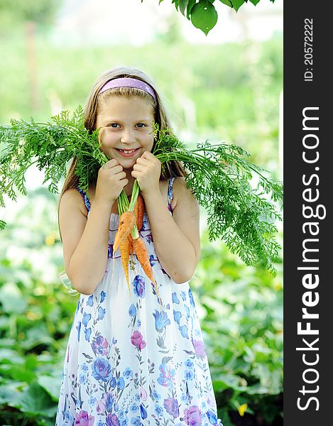 An image of a little girl with fresh orange carrots. An image of a little girl with fresh orange carrots