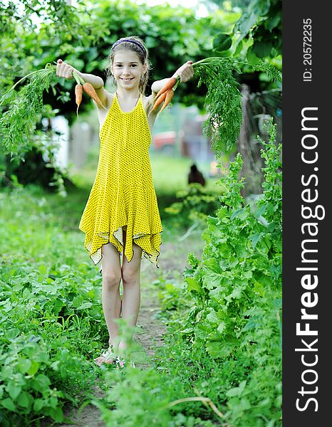 An image of a little girl with fresh orange carrots. An image of a little girl with fresh orange carrots