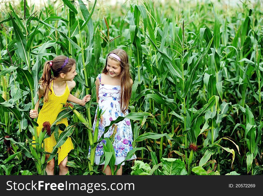 An image of two little girls in the green cornfield. An image of two little girls in the green cornfield