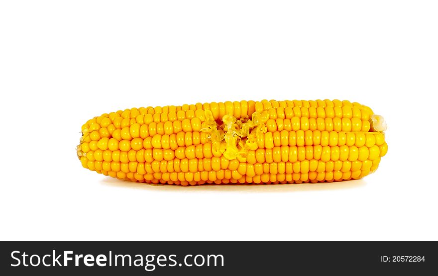 Cooked Corn Cob