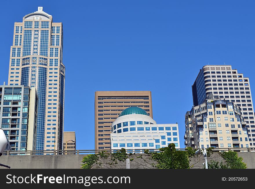 Downtown Seattle From Below