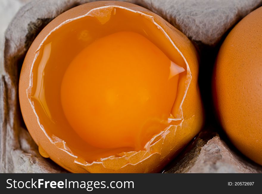 Detail of fresh raw egg in an egg box