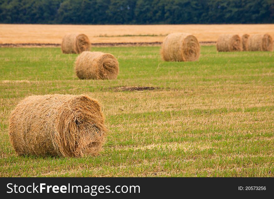 Field with straw bale