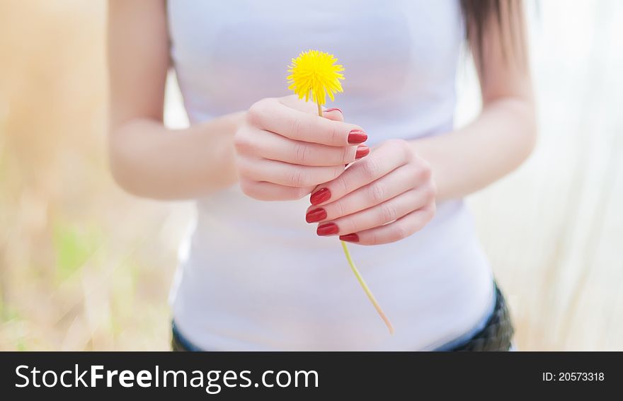 Girl On Dandelion