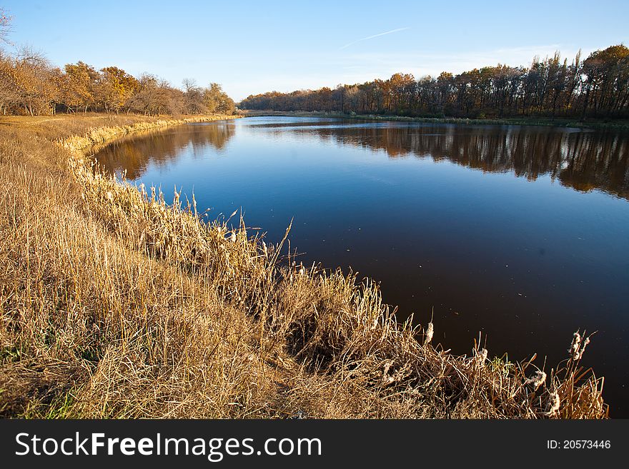 Autumn Trees Reflected In Water