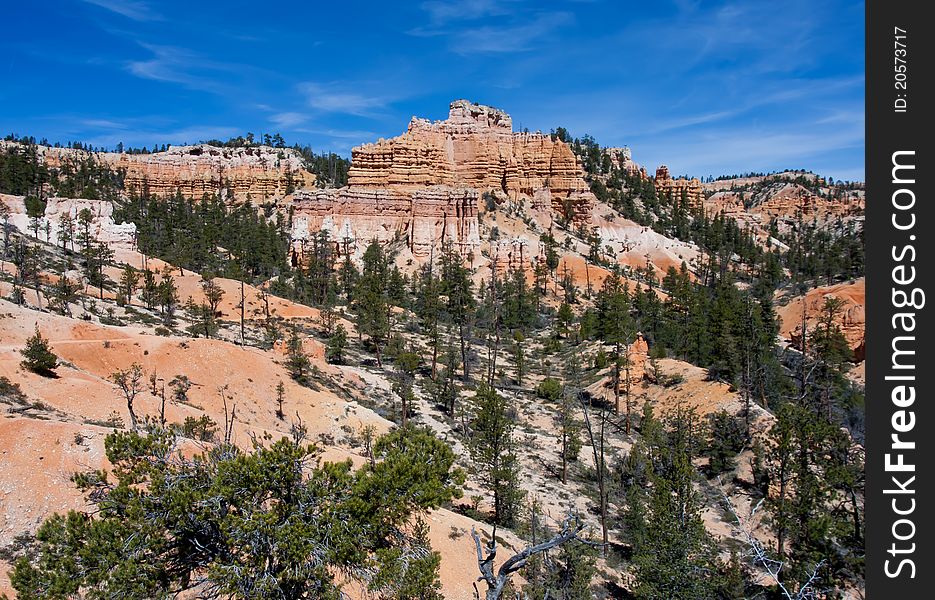 Scenic view of Bryce Canyon National Park and it's beauty. Scenic view of Bryce Canyon National Park and it's beauty