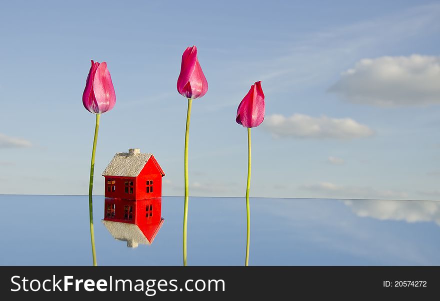 House symbol and three tulips on mirror. House symbol and three tulips on mirror