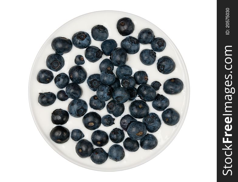 Homemade yogurt with fresh blueberries in bowl. Homemade yogurt with fresh blueberries in bowl