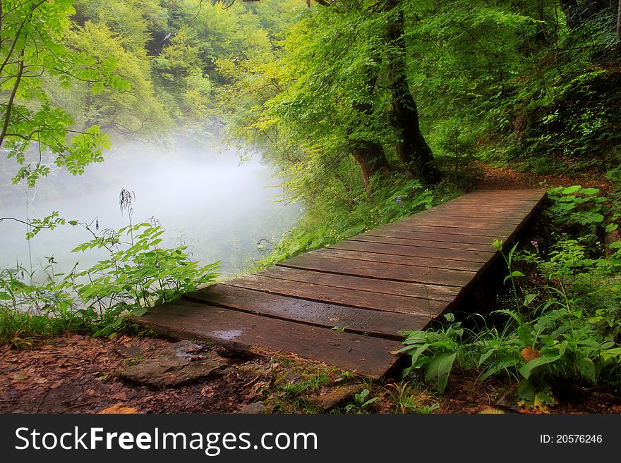 Misty Morning And Wooden Bridge