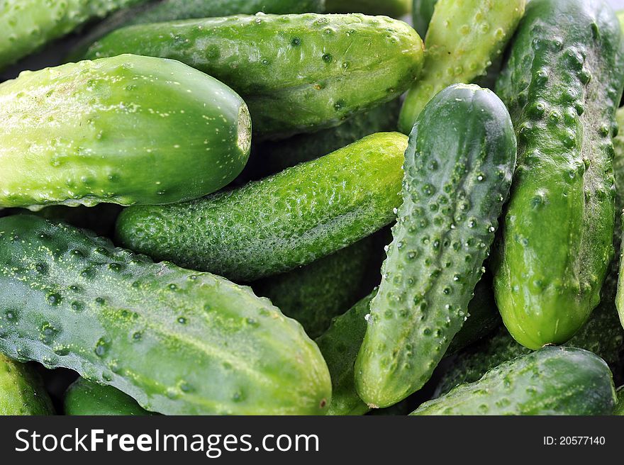 Large pile of freshly green cucumbers.close up