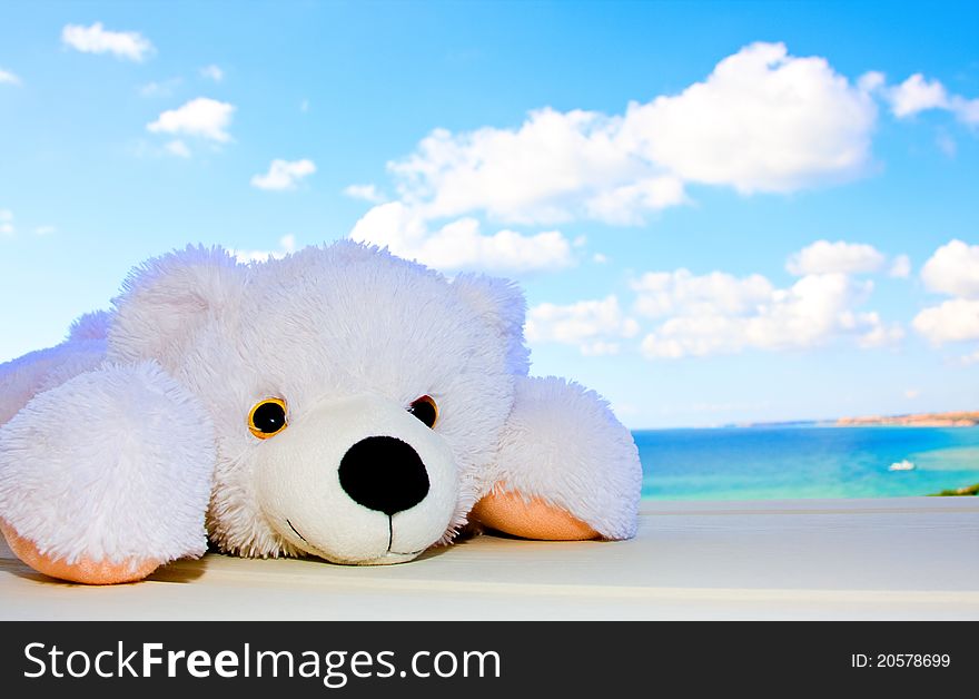 Toy polar bear in the background of a beautiful sky with clouds. Toy polar bear in the background of a beautiful sky with clouds