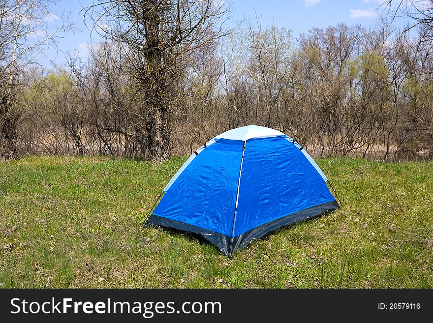 Blue tourists tent in spring forest