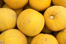 Melons Royalty Free Stock Images Melons Royalty Free Stock Images