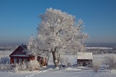 Christmas In The Countryside Royalty Free Stock Photos Christmas In The Countryside Royalty Free Stock Photos