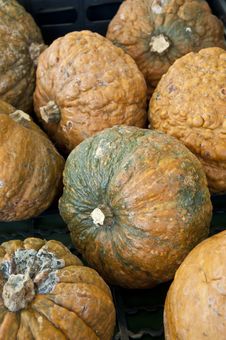 Pumpkins, Squash Stock Photos Pumpkins, Squash Stock Photos