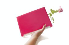 The Female Hand Holds The Pink Laptop With A Rose Stock Photography The Female Hand Holds The Pink Laptop With A Rose Stock Photography