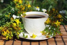 Herb Tea Time Stock Photography Herb Tea Time Stock Photography