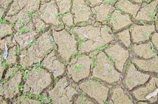 Cracked Soil Stock Photography
