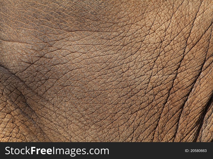 Elephant brown skin as background. Elephant brown skin as background